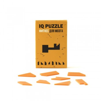 Головоломка IQ Puzzle, ключ